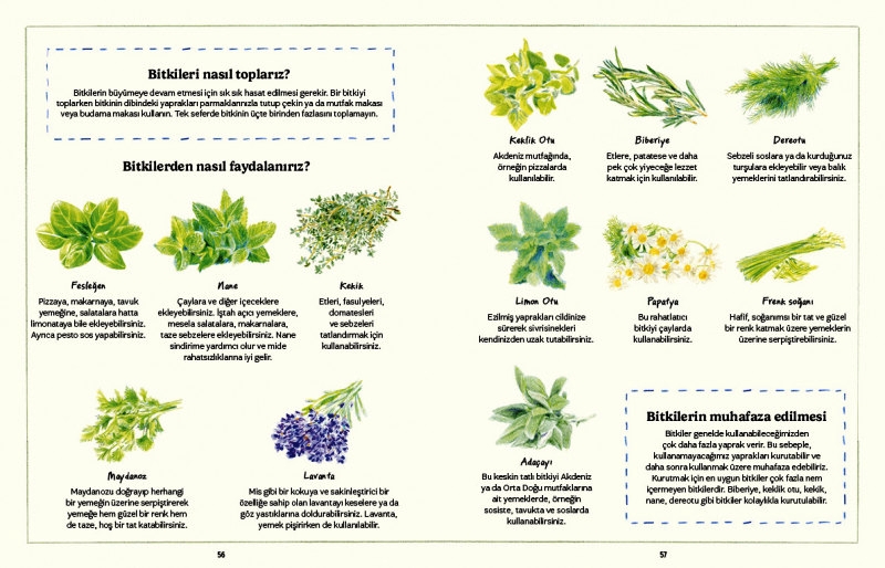 Unutulmuş Becerilerin El Kitabı | TÜBİTAK Popüler Bilim Kitapları